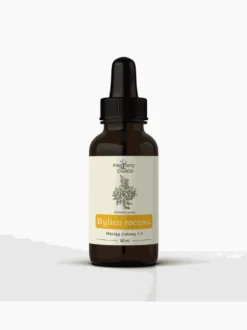 Artemisia annua nalewka 1:1