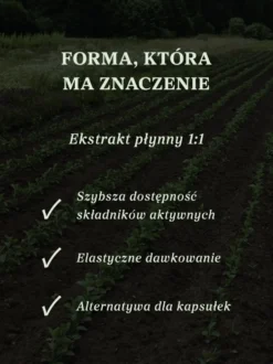 Ashwagandha krople