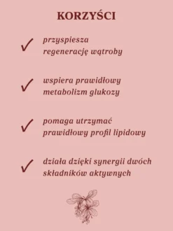 Berberyna z sylimaryną 100 kapsułek
