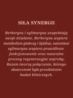 Berberyna z sylimaryną 100 kapsułek
