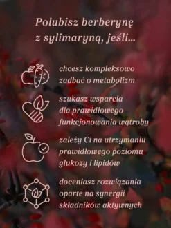 Berberyna z sylimaryną 100 kapsułek