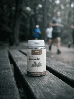 Boswellia 100 kapsułek x 500 mg