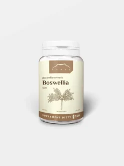 Boswellia 100 kapsułek x 500 mg