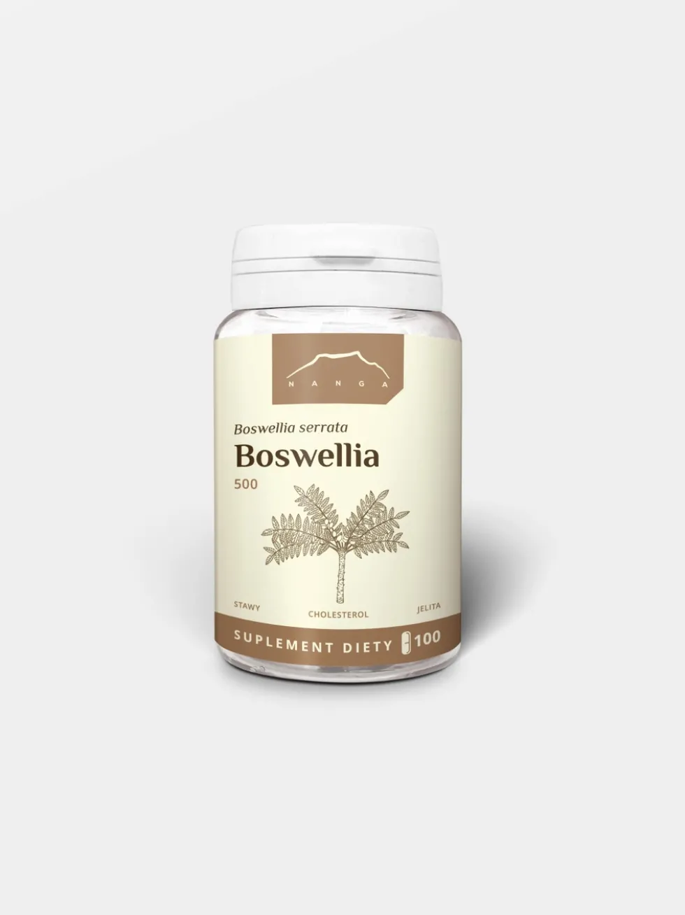 Boswellia 100 kapsułek x 500 mg