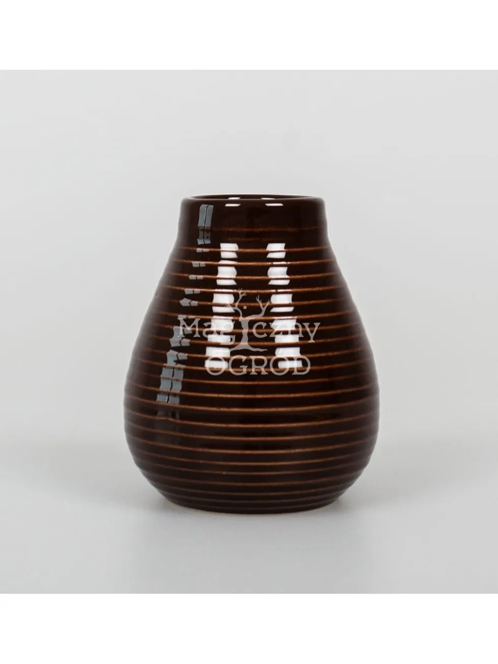 Calabaza 210ml