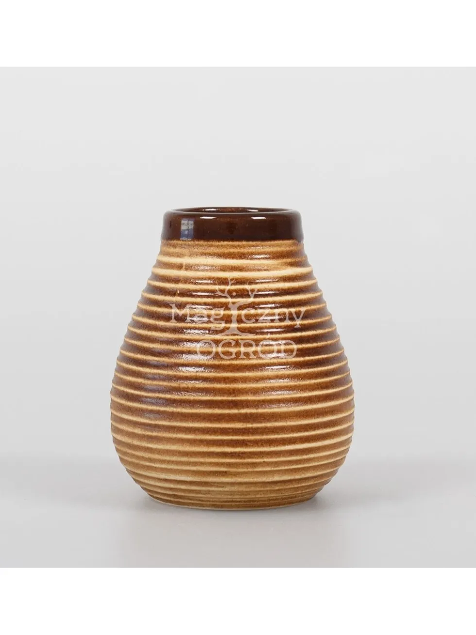 Calabaza 210ml