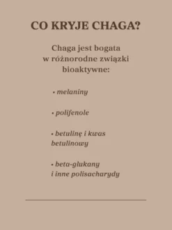 Czaga - guz brzozy