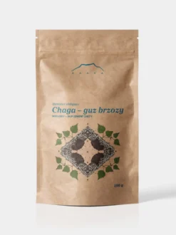 Czaga - guz brzozy