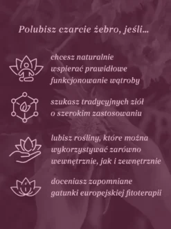 Czarcie żebro (ostrożeń warzywny) ziele