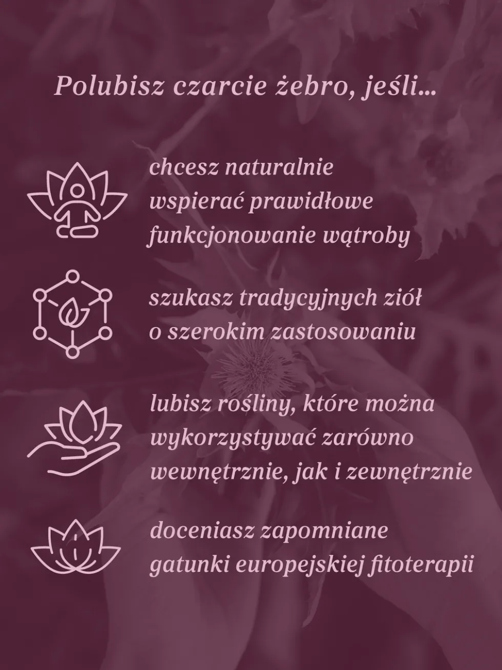 Czarcie żebro (ostrożeń warzywny) ziele