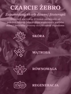 Czarcie żebro (ostrożeń warzywny) ziele