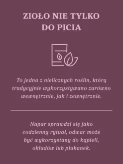 Czarcie żebro (ostrożeń warzywny) ziele