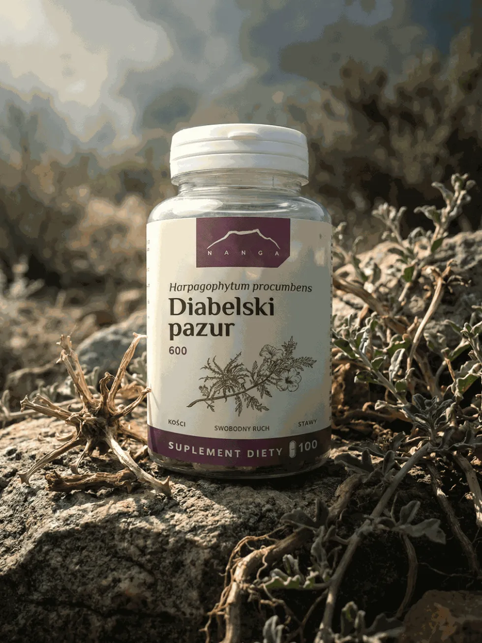 Diabelski pazur 100 kapsułek x 600 mg - czarci pazur