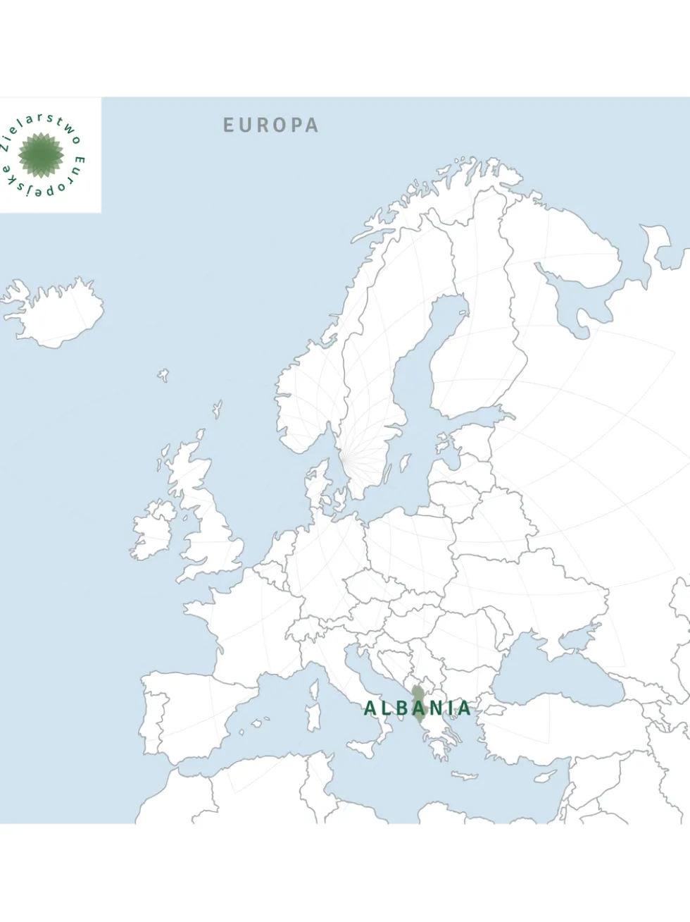 Dziewanna kwiat