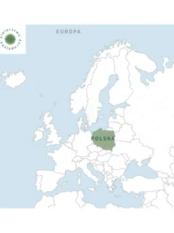 Dziewanna liść