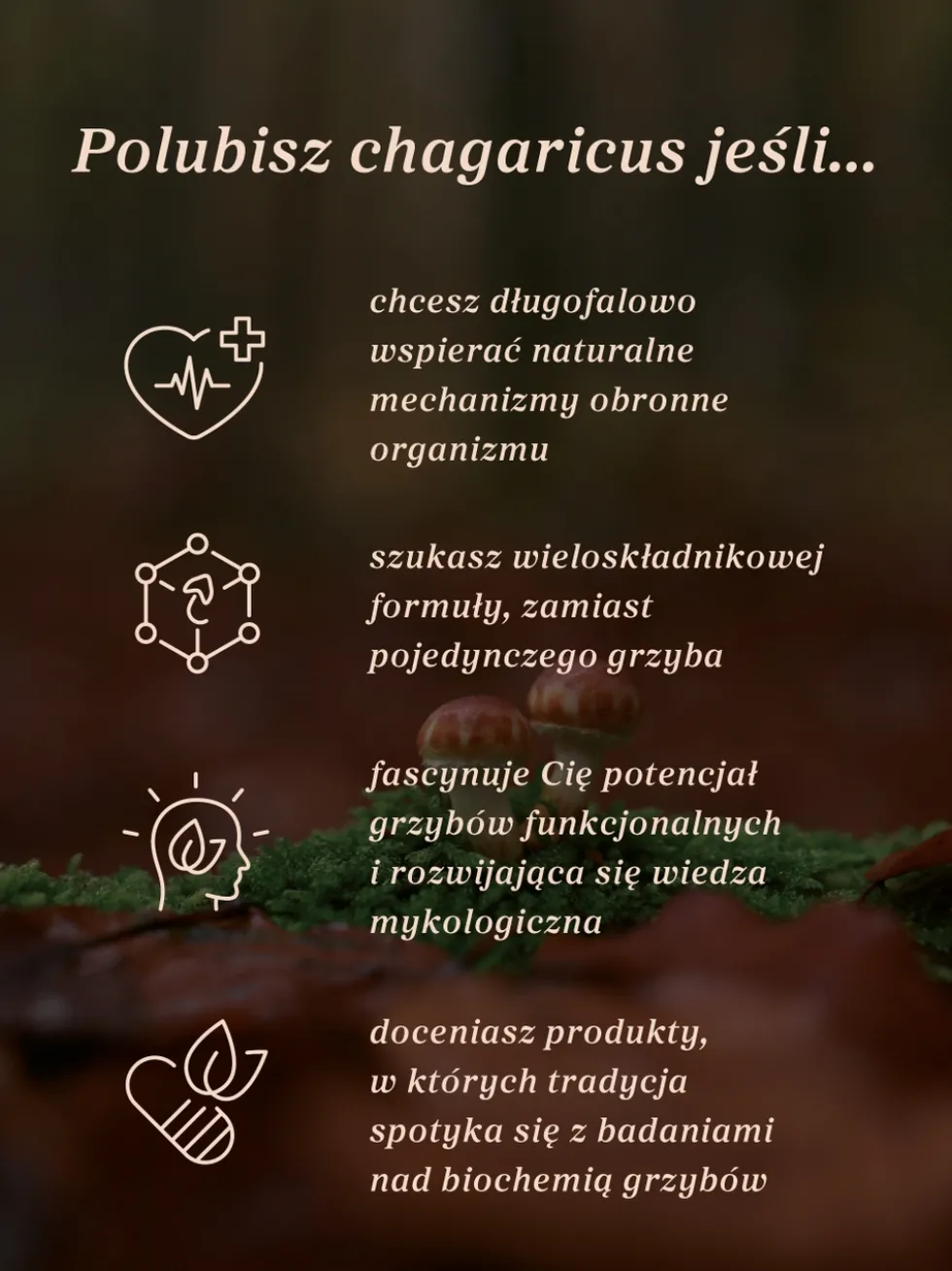 Eliksir Chagaricus