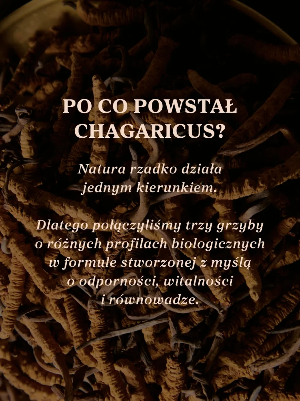Eliksir Chagaricus