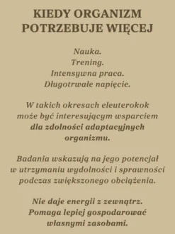 Żeń-szeń syberyjski kapsułki x 400 mg