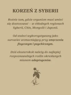Żeń-szeń syberyjski kapsułki x 400 mg