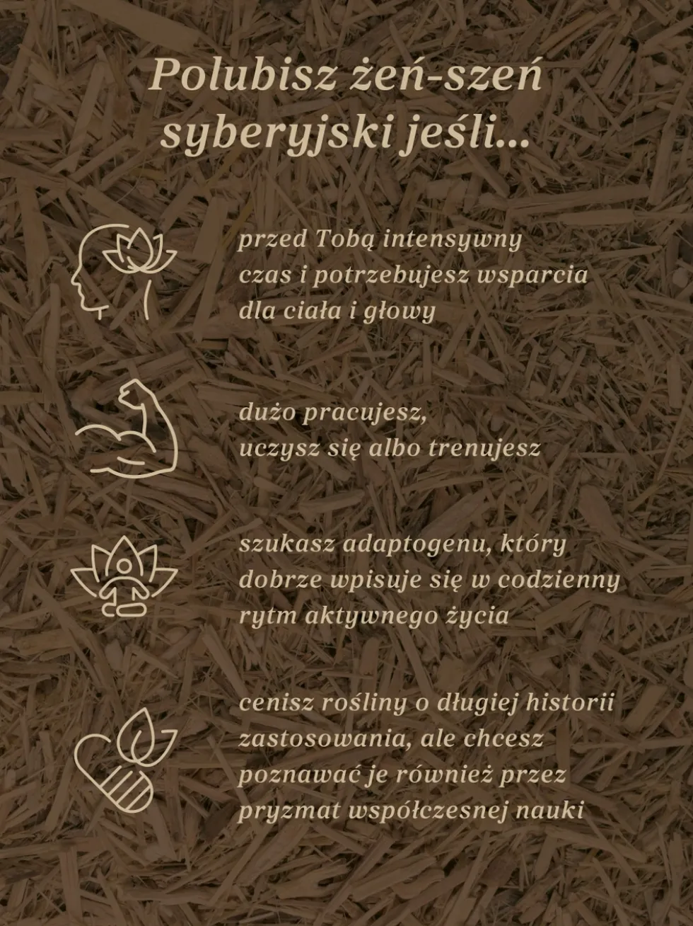 Żeń-szeń syberyjski nalewka 1:1