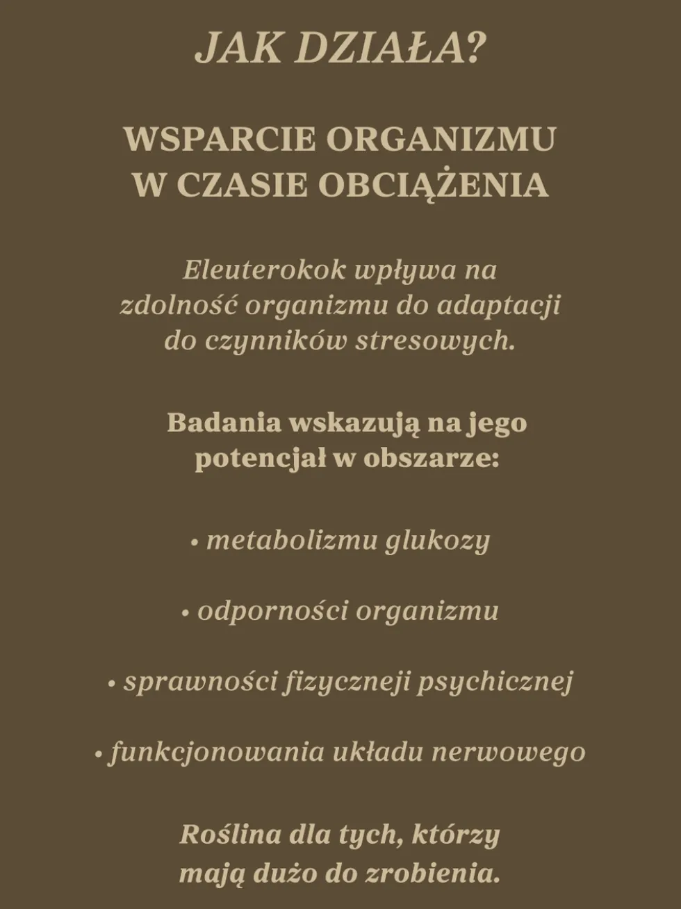 Żeń-szeń syberyjski nalewka 1:1