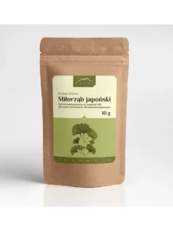 Ginkgo biloba ekstrakt 24% / 6%