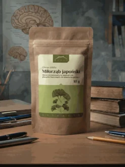 Ginkgo biloba ekstrakt 24% / 6%