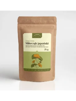 Ginkgo biloba ekstrakt 24% / 6%