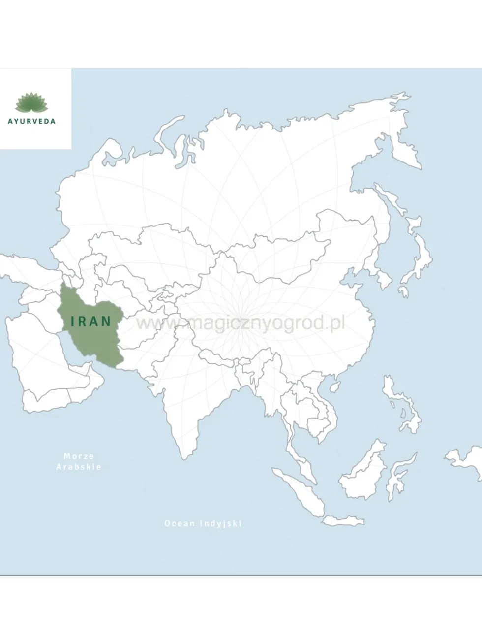 Herbata czarna - Iran Lahidżan