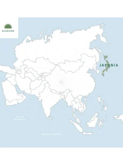 Herbata zielona - Japan Genmaicha