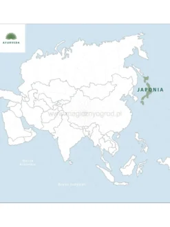 Herbata zielona - Sencha Premium japońska