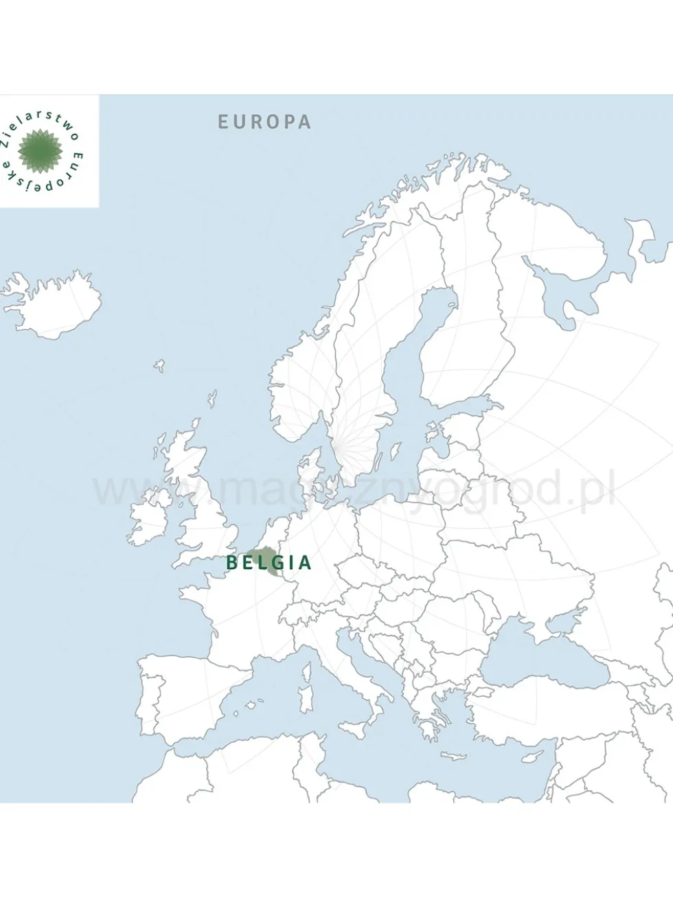 Inulina - naturalny prebiotyk