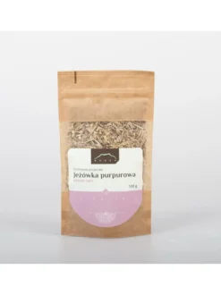 Jeżówka purpurowa korzeń