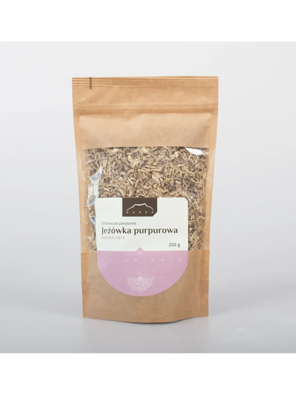 Jeżówka purpurowa korzeń