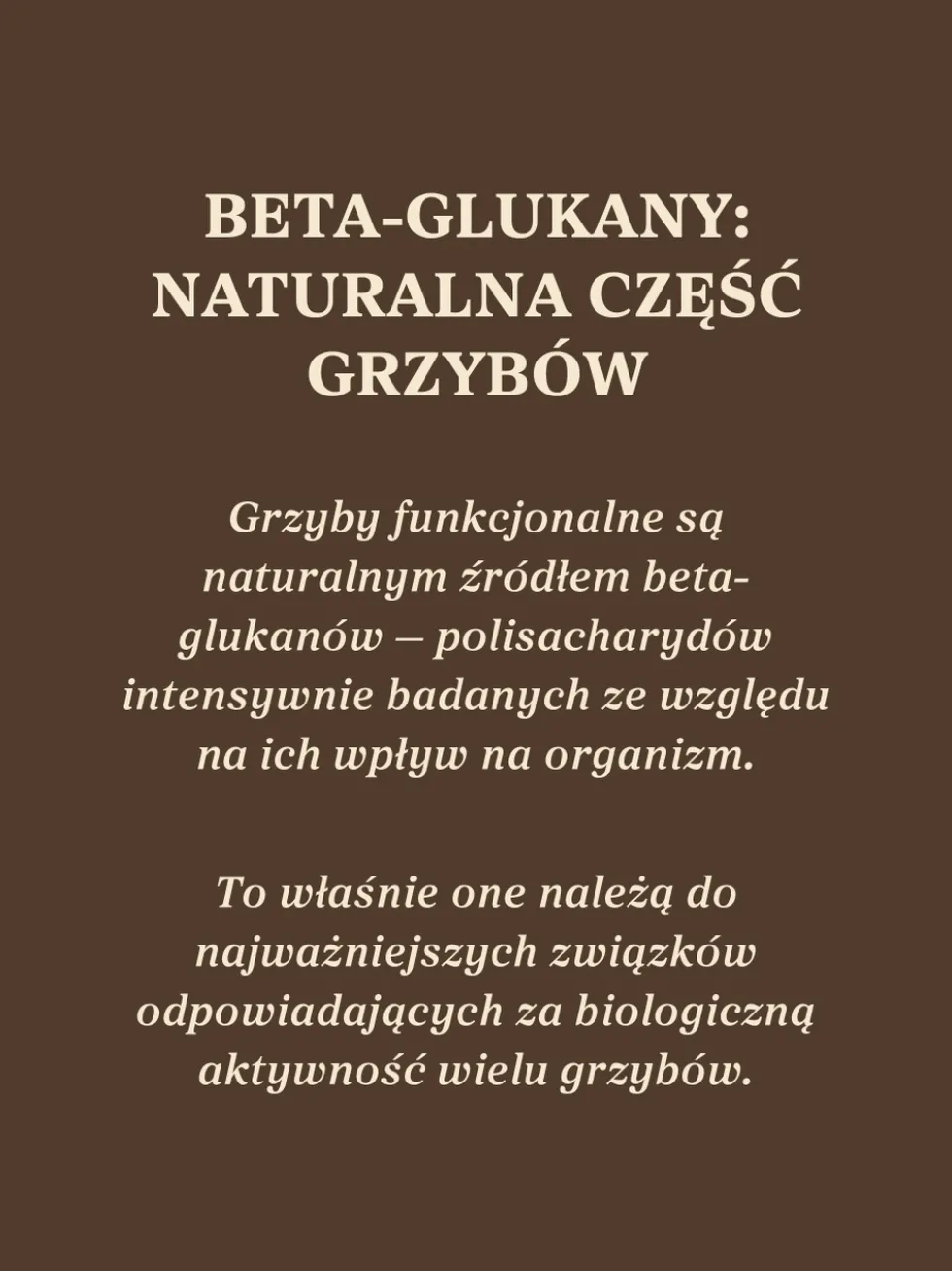 Kawa Trzy Grzyby