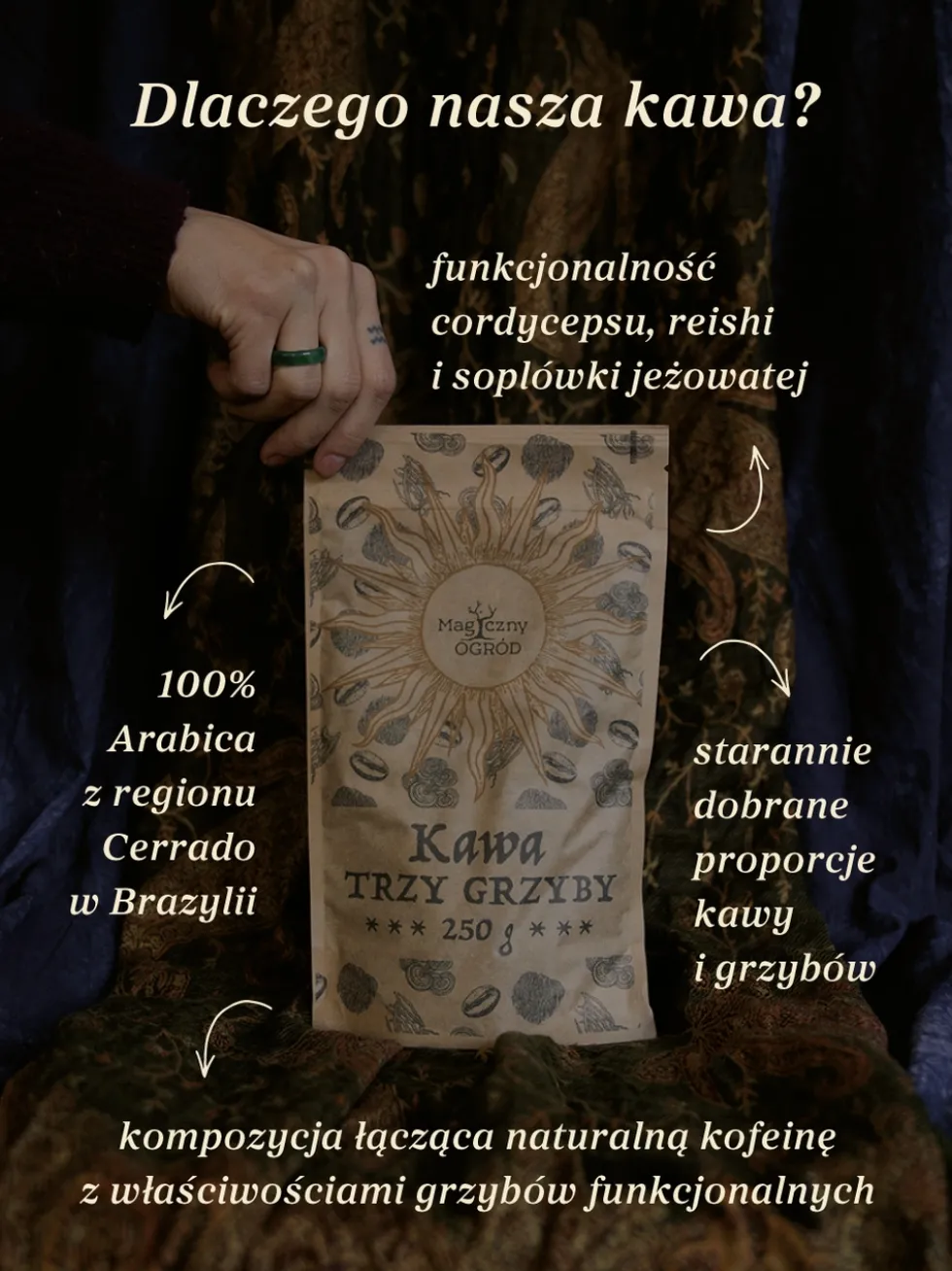 Kawa Trzy Grzyby