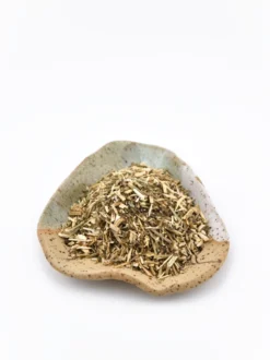 Kocimiętka ziele
