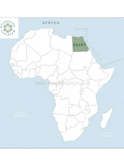 Koper włoski nasiona