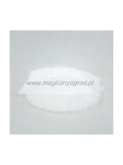 Ksylitol - cukier brzozowy