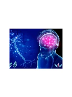Kurs Fitoterapia chorób układu nerwowego