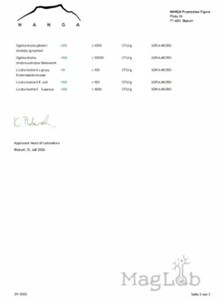 L-lizyna 100 kapsułek x 500 mg
