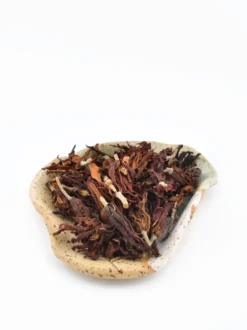 Magnolia kwiat