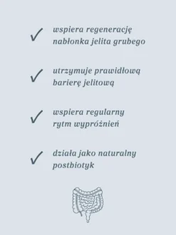 Maślan sodu 100 kapsułek x 400 mg