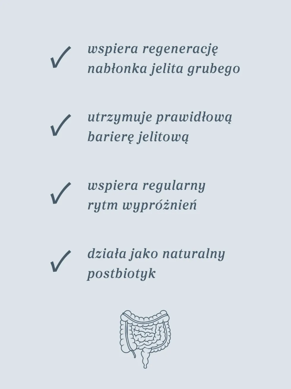 Maślan sodu 100 kapsułek x 400 mg