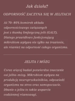 Mieszanka Zdrowe Jelita