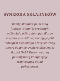 Mieszanka Zdrowe Jelita