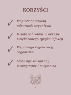 Mieszanka Zdrowe Jelita