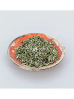 Mięta wodna