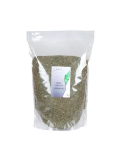 Mięta zielona spearmint liść
