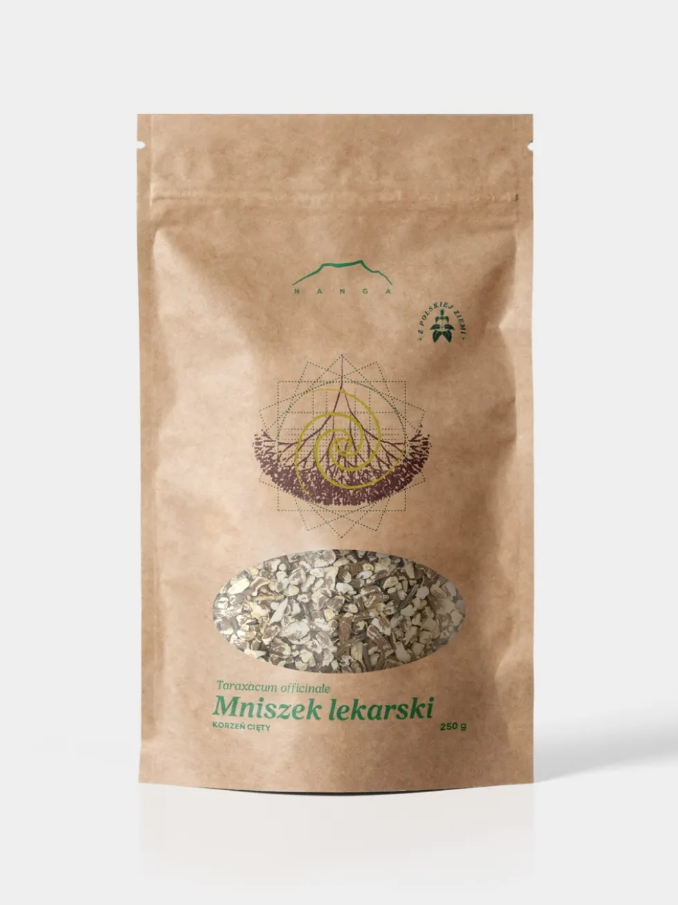 Mniszek korzeń
